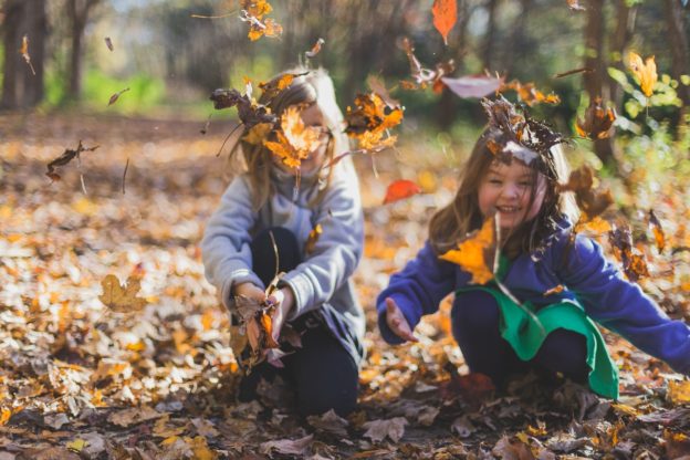 Børn leger med blade i skoven